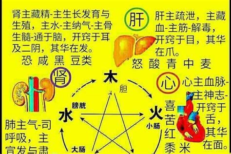 珀五行|珀字五行属什么